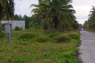 Situation du Capricho (plage à gauche), les structures de bois sont au fond à droite (chemin vers Villa Iguana)
