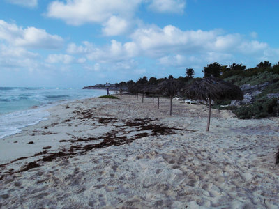 Sur Capricho il reste de la plage, mais tellement de vent qu'il n'y a pas grand chose à part Rodolfo qui fait le ménage.